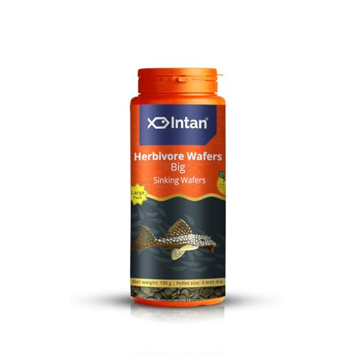 Image of Intan Herbivore Wafers (Big 3.0mm Sinking) | 190gm - Highly Nutritious Ornamental Fish Food for Herbivorous Fish - Mollies, Mbunas & Plecos | Growel Feeds
