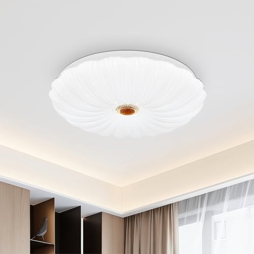 VIPMOON 30W LED Super Bright Ceiling Light, 2700LM Bedroom Ceiling Light, 6500K Daylight White, Dia 26cm Lighting Fixture, 150W Equivalent, Suitable for Living Room, Kitchen, Bathroom, Porch, Bedroom