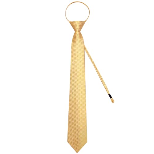 Image of DiBanGu Mens Zipper Ties Silk Adjustable Necktie Pocket Square