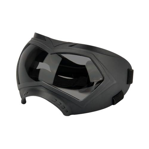 ybgTOXXm[S[O_Xgv[tیLvt@bV\ȋی상Kl