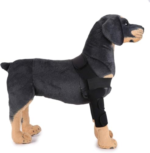 pnr ybgpPApi ֐߃veN^[ pT|[^[ GT|[^[ ܎ pEFA rߖh~ V h~ ߉\ S ubN (Black,S)