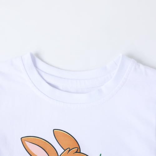 Image of HILEELANG Toddler Boy Summer Outfit Set 2 Piece Short Sleeve T Shirt and Short Soft Breathable Cotton Clothing Sets 2-7T