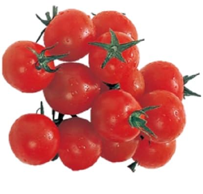 ���C�t�R�[�|���[�V���� �k�C���Y�� �~�j�g�}�g(��p�b�N)