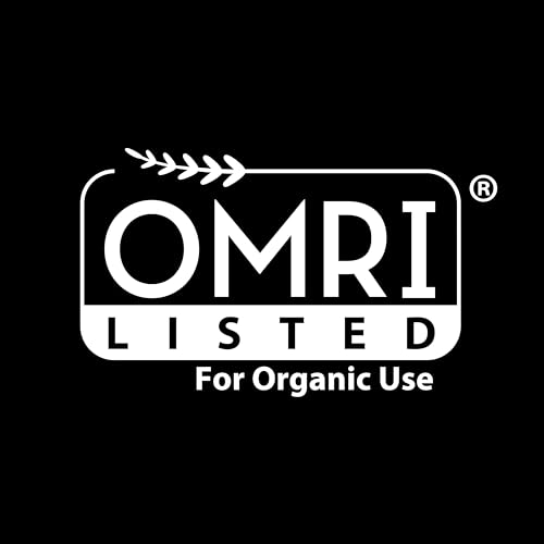 Image of Ortho GroundClear Weed and Grass Killer2 Concentrate, Broadleaf Weed Control for Landscape Beds, Around Vegetable Gardens or Patios, Results in 15 Minutes, OMRI Listed, 32oz. (Pack of 2)