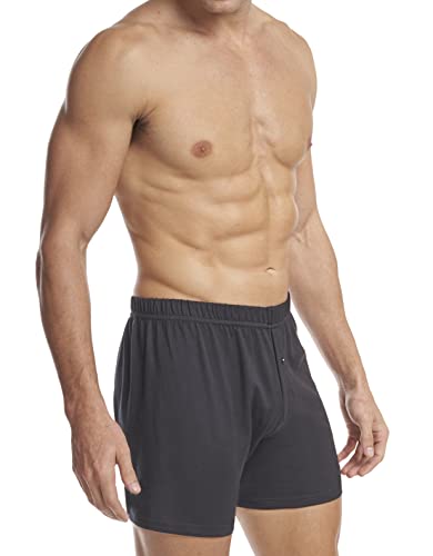 Stanfield's Men's Premium Cotton Knit Boxer, 2 Pack3