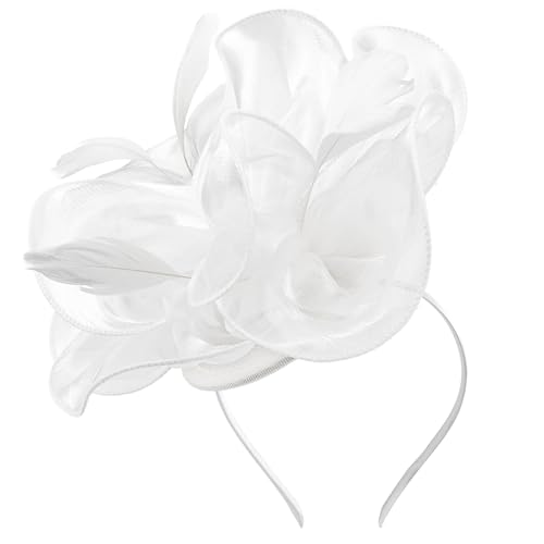 DRESHOW Fascinators Hat Tea Party Headwear Ribbons Feathers on a Headband and a Clip for Women