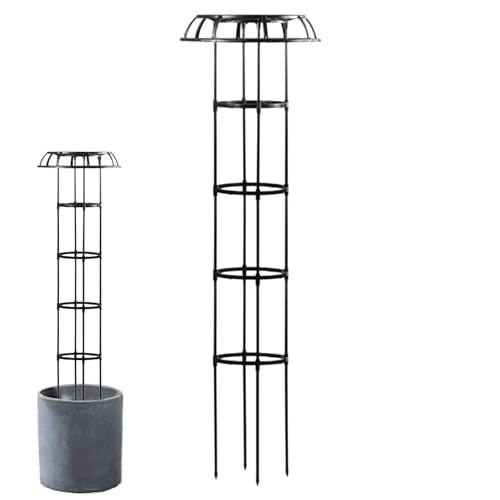 Patonde Op[YgXA鐫Apt[gX | Yx[gXAP^̃[YubVgX,T|[gA^[AԂo邽߂̎^AP[W