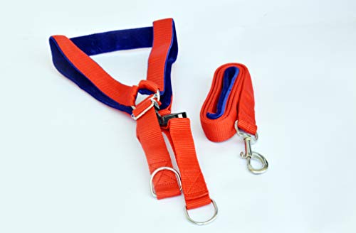 Image of DOGISTA PET Products Dog MUKHMAL Leash Harness Set 1.50, Extra Large