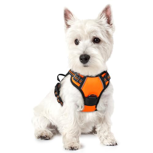 Image of rabbitgoo Dog Harness No Pull with 2 Leash Clips, Adjustable Soft Padded, Reflective Oxford No Choke Pet Vest with Easy Control Handle for Puppy, Orange,XS