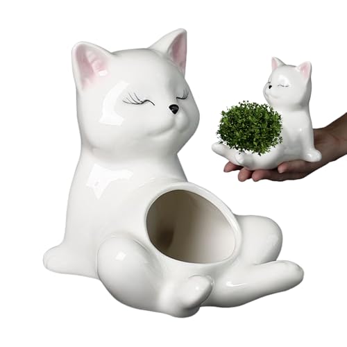 Pot de fleur chat céramique contenant petite succulente extérieure balcon