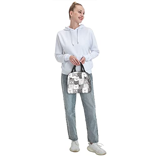 Aiojool Cute Grey Cats Lunch Bag Insulated Lunch Box Reusable Cooler Thermal Meal Tote For Women Men #TOP7