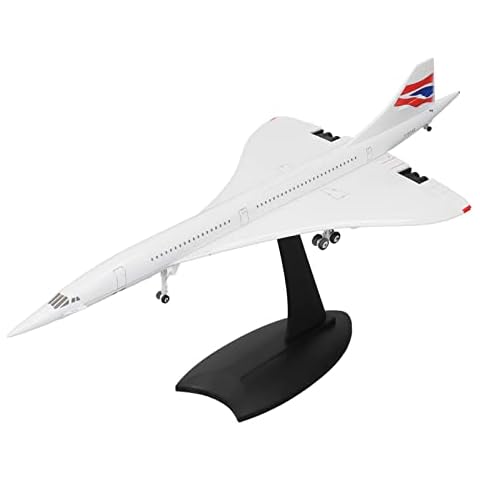 SUNGOOYUE 1:200 Scale Airplane Model, High Stimulation Alloy Stylish RC Glider Planes Model for Collection Cover