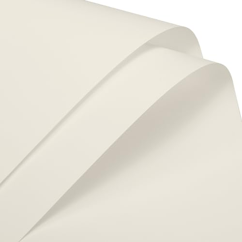 MECCANIXITY Pearlescent Film Flower Wrapping Paper 22.8x22.8 Inch Waterproof for DIY Crafts, Gift/Gift Box Packaging Light Beige Pack of 10