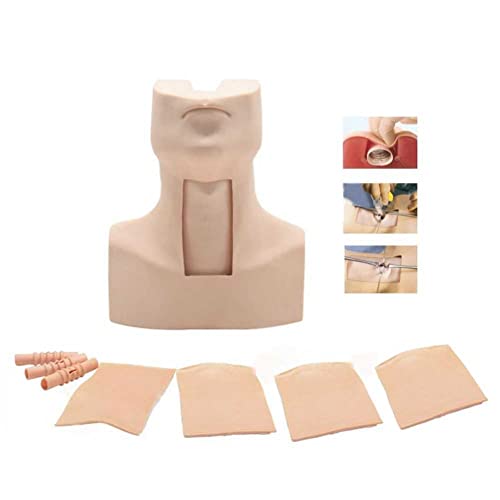 Ghde&Md Tracheostomy Simulator Model Cricothyrotomy Care Training Manikin With 4X Simulated Trachea, 4X Neck Skin And Aluminum Case #TOP6