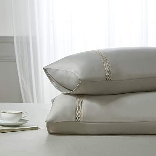 COISINI Silver Grey Satin Pillowcase for Hair and Skin, 2-Pack - Standard Size (20x26 inches) Pillow Cases - Satin Pillow Covers with Envelope Closure
