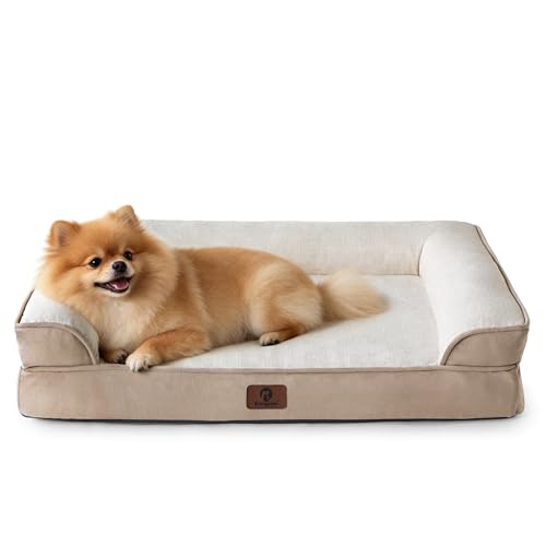 Sunquinn 犬用 ペットベッド 犬ベッド ペットソファーベッド 体圧分散・高反発 アゴ乗せ設計・低床8cm 防水カバー 洗える 小型犬・中型犬・シニア犬対応(外寸61Lx45Wx15Hcm ベージュ)