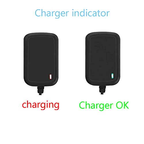 image for LIANSUM 12V Supply for Kids Ride On Car,Battery Charger for Best Choic