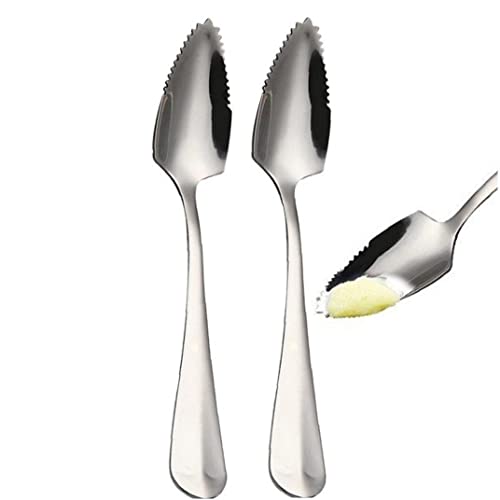 Fopytu 2 Pcs Stainless Steel Grapefruit Spoon Scraping Spoon Dessert Spoons for, Kiwi, Papaya, Orange