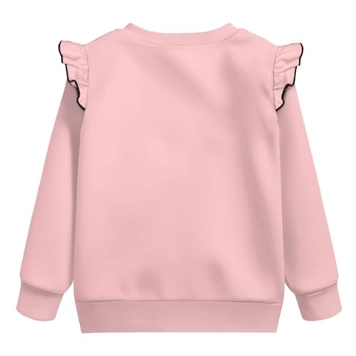 Animal Toddler Sweatshirt Crew Neck Clothes Trendy Long Sleeve Hoodie Clothes Cute Tops for Kindergartener 1T-8T3