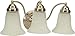 Craftmade 15318BN3 Cathryn Vanity Wall Lighting, 3-Light, 300 Watts, Brushed Satin Nickel (18"W x 9"H)