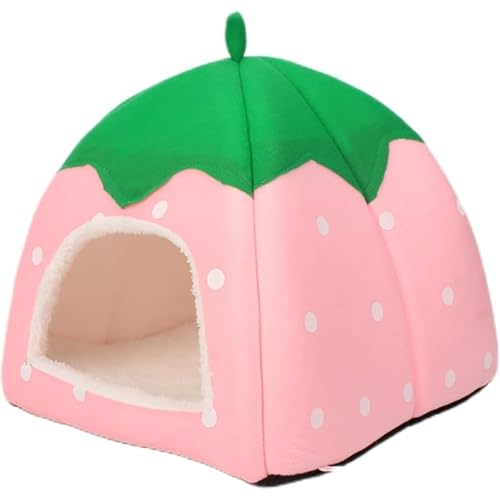 Kwueiit gLxbhEH[}[\tgLbgnEX\t@VыxexbhLpnEX ybgxbh Lp p ^ h[^ ~ ی^ ӂӂ _炩 ۉ g  NbV }bg  Vv ʔNp  | (