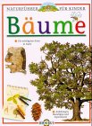 Bäume Bäume