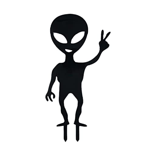 DeeRace FGCAAAN{̑A{̍Y̒̑i & peBȊp[eB[pỉȇ, 