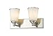 Z-Lite 432-2V-BN Jarra - 2 Light Bath Vanity in Fusion Style - 16 Inches Wide by 8.5 Inches High, Finish Color: Brushed Nickel