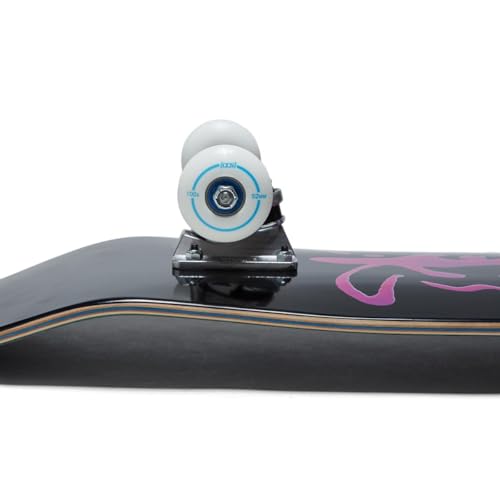 Image of [CCS] Skateboard Complete | Maple Wood | Professional Grade | Fully Assembled with Skate Tool & Stickers | Adults, Kids, Teens, Youth | Boys & Girls