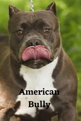  AMERICAN BULLY: A LINED NOTEBOOK & JOURNAL: An Awesome American Bully Notebook With Lined Interior Paperback