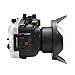 SeaFrogs Underwater Housing for Panasonic GH5/ GH5 S/ GH5 II + WA005-E 6 Inch Wide Angle Dry Dome Port Kit [40M/130ft] Waterproof Case with Flat Port