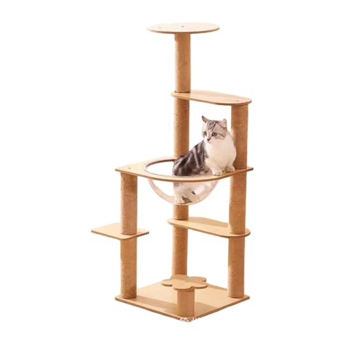 MORLU ؐLbg^[  ^Lp ی^x[X I  X ē~p ȃXy[X v W]t {E TCU ȃ[v XgX B 芴 ^  (6wNC~Ot[ - wv)