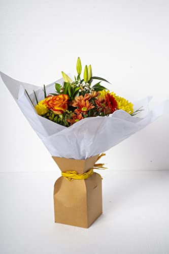 RamoS & Flores - Natural e variado/porta grátis / envio para toda a Espanha