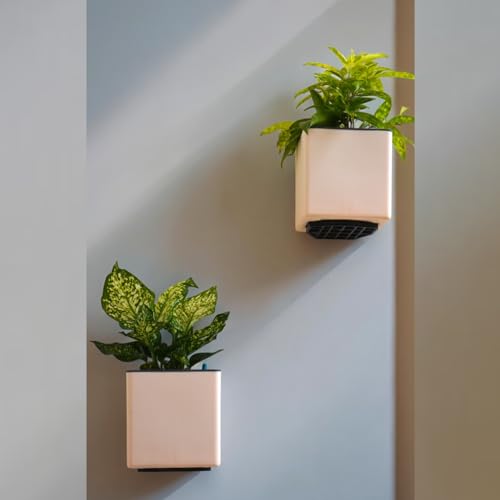 Image of Indian Discovery Self Watering Wall Hanging Planter|Hanging /Hooked Flower Pots for Home, Balcony, Vertical Garden Decor Flower Pots(2 PC, Peach Square) |6 Inch UV-Resistant Plastic Plant Pots