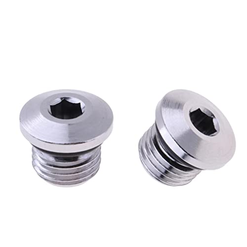 Tongina 2 Pack Scuba Diving Regulator LP Port 3/8 Inch Stainless Steel Plug