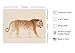 Poster Master Vintage Tiger Poster - Retro Pacing Tiger Print - Neutral Colors Art - Gift for Him, Her, Veterinarian, Animal Lover - Decor for Living Room, Nursery, Playroom - 8x10 UNFRAMED Wall Art