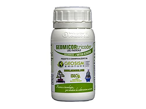 micorrize e trichoderma liquido GEOSISM & NATURE – Geomicor tricoder, Inoculo liquido di funghi micorrizici  con trichoderma ideale per contrastare le patologie fungine di ortaggi,  piante, fiori e prati (0,25 KG) : Amazon.it: Giardino e giardinaggio