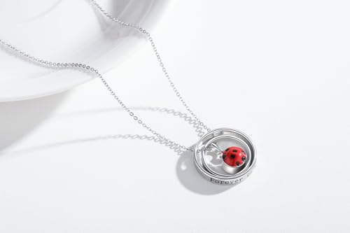 Urn Necklace for Ashes 925 Sterling Silver Locket Pet Human Cremation Ash Keepsake Necklace Memorial Jewelry Gifts for Women2