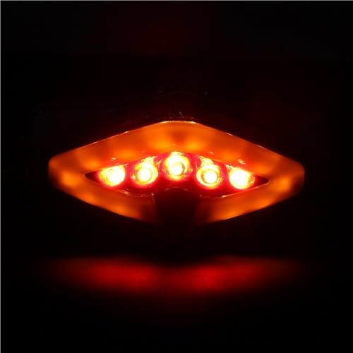 Luz trasera de motocicleta CB1000R con intermitentes LED 4