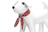 Beeztees Quick Cooler Meloenie, Hundehalsband, Rot, M
