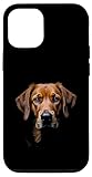 Photo Gallery chesapeake bay retriever cane chessie face nero custodia per iphone 12/12 pro Photo Gallery chesapeake bay retriever cane chessie face nero custodia per iphone 12/12 pro