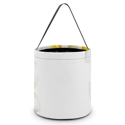 �n���E�B�� �L�����f�B�o�X�P�b�g �n���C�A�� �t�����W�p�j �u���b�T�� �G�L�]�`�b�N �L�����f�B�� ���َq �R���e�i ��񂰑� �y�� ������p�[�e�B�[�L�O�i �v���[���g ���O�W��p