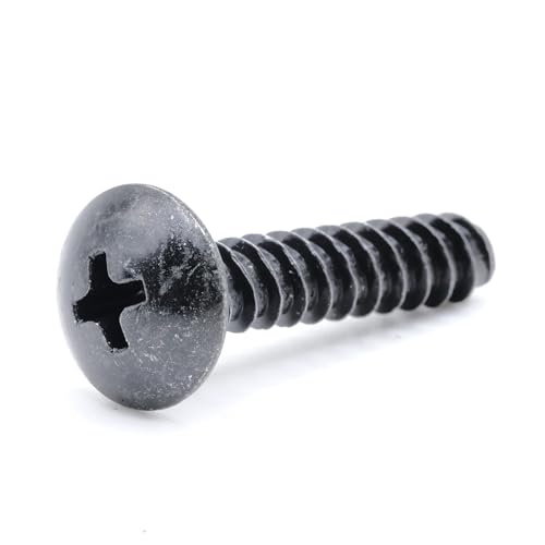 Tornillos Autorroscantes ST5 x 25mm Pan Phillips Pack 10 miniatura 1