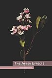  The After Effects
