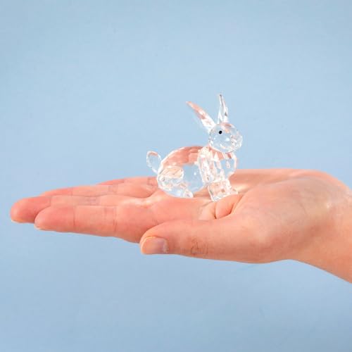 Figurines en cristal à collectionner et lapin décoratif pour la maison - 5