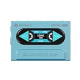 FIIO Snowsky RETRO NANO Blue FIO-SSRETRONANO-L【日本正規販売店より発送・シリアルナンバー付】Bluetooth アンプ ポータブル