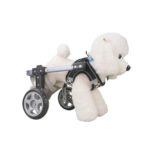 ���p�Ԉ֎q ���s�⏕ ����� ���p�J�[�g �⏕�� �Q�֌��p�J�[�g �L�p�Ԉ֎q ���p���s�� �����\ ���t���ȒP �É����Ƒϖ��Ր��ɗD��Ă��܂� �y�b�g��ԗ� �⏕�J�[�g���s��(2�֍�,M)