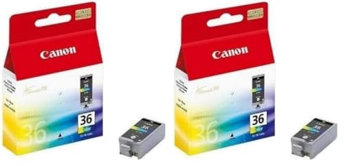 Canon CLI - vue 10