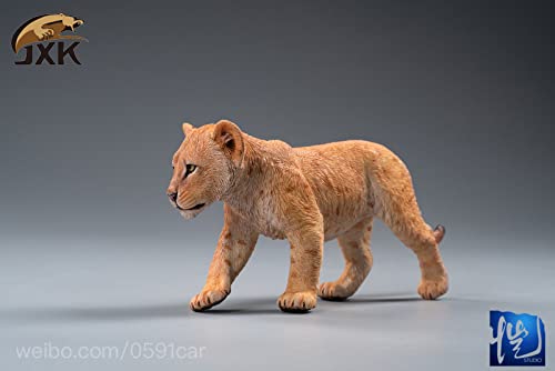 Amazon.com: JXK 1:6 Scale Africa Lion Wild Boar Meerkat Pig