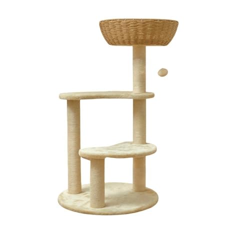 ؐLbg^[yVR؎gpz^  ^Lp  ҂݃P[W CeA W]t ^Lp ȃ[v Bꏊ 芴 ^s ē~p (؂̐F,004)